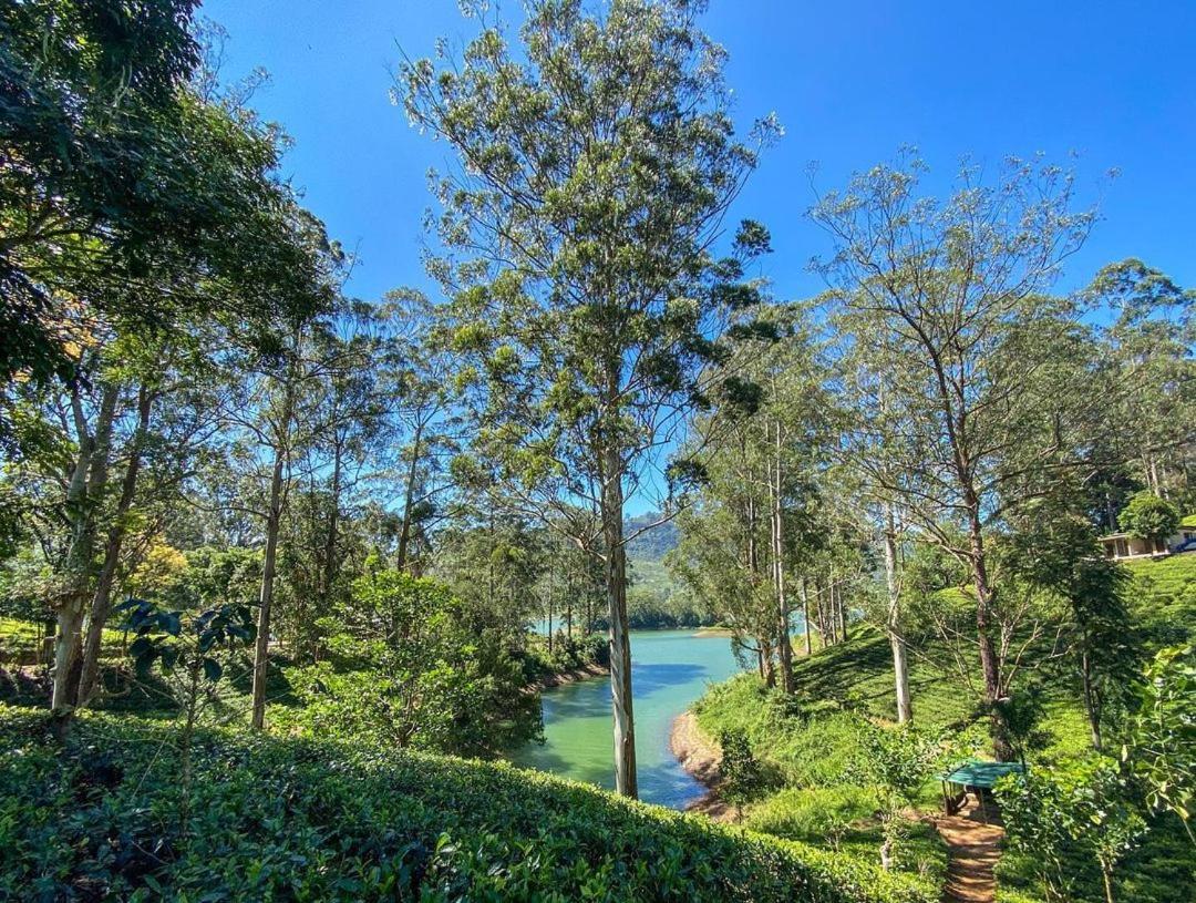 The Farm Resorts Dickoya Bagian luar foto