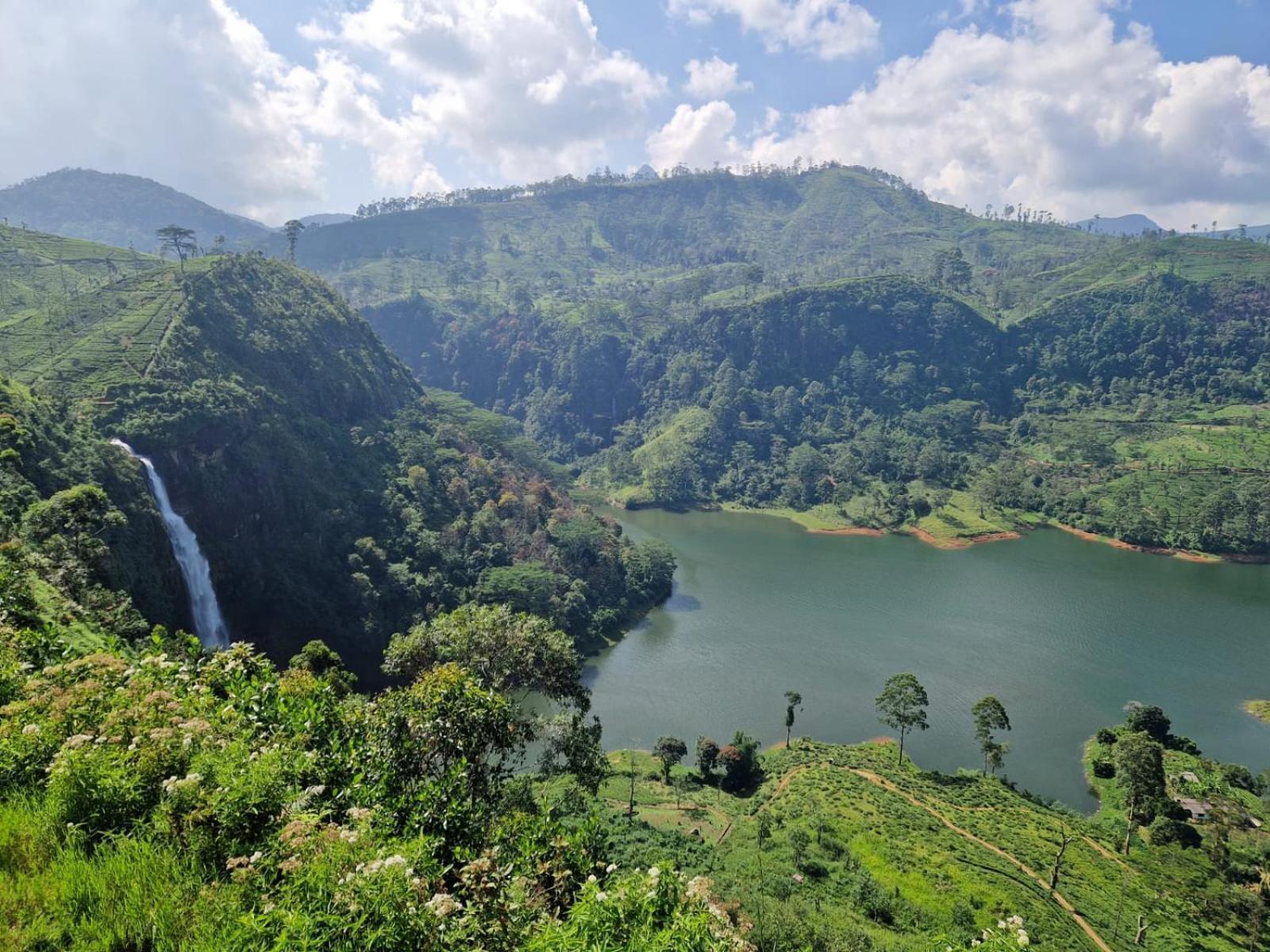 The Farm Resorts Dickoya Bagian luar foto