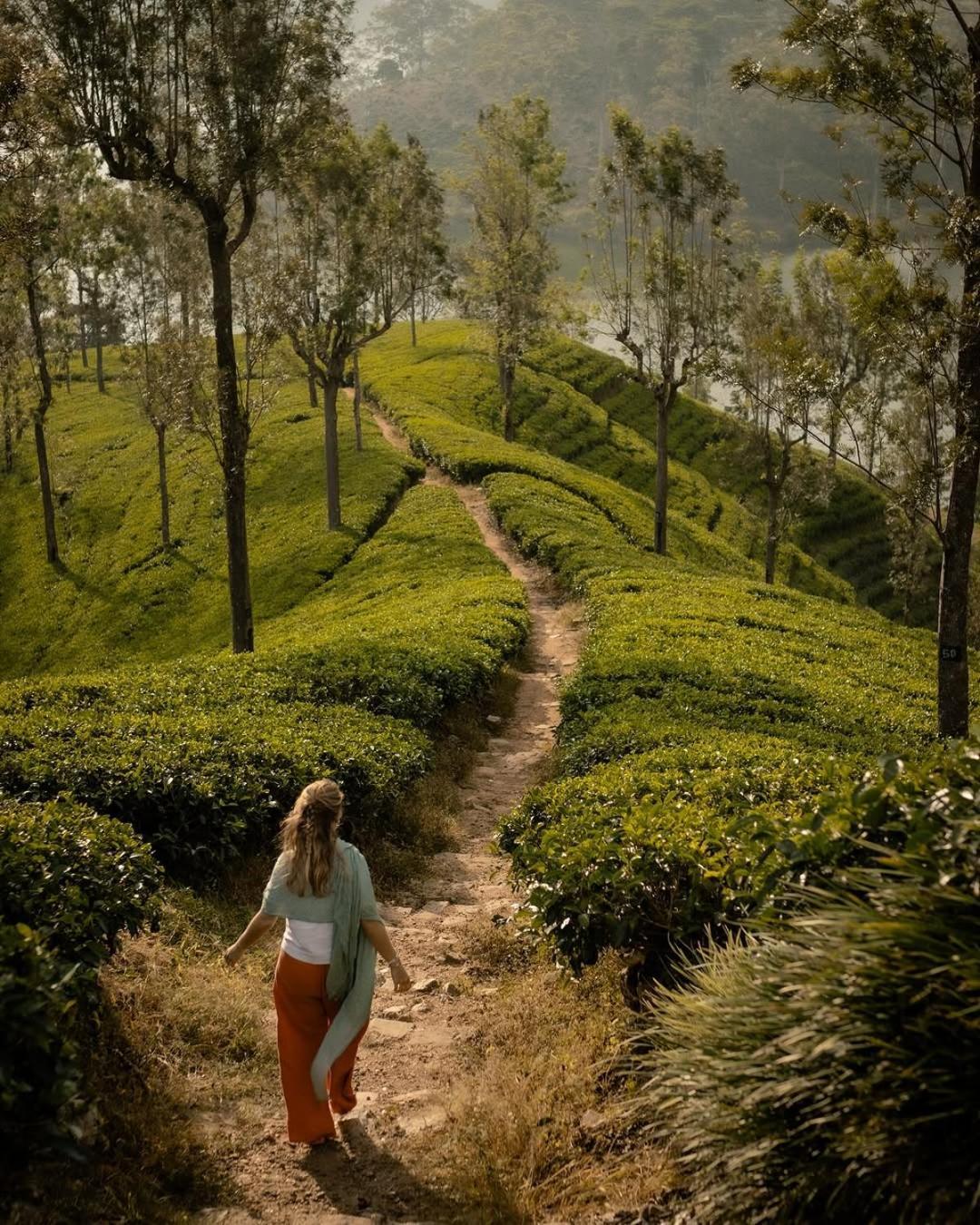 The Farm Resorts Dickoya Bagian luar foto